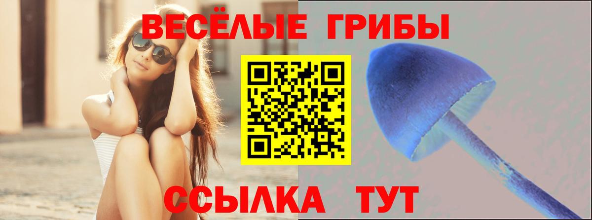 даркнет сайт  Галлюциногенные грибы MAGIC MUSHROOMS  Вход с VPN  Каменка 