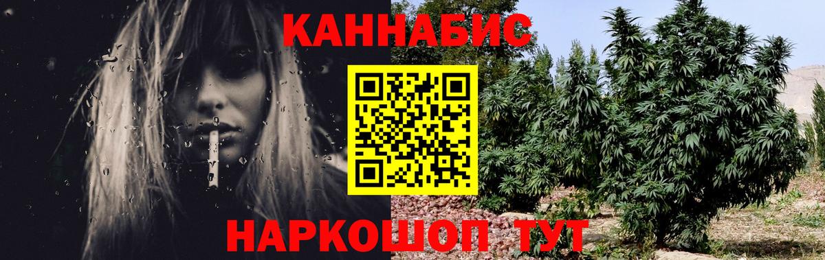 Конопля OG Kush Каменка